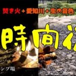 【癒し・睡眠導入・作業用・ASMR】黄和田キャンプ場　焚き火（深夜→夜明け）焚き火＋愛知川＋虫の音色