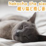 【睡眠用BGM音小さめ】眠り猫と癒し音楽Vol.3