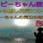 【HAPPYちゃん 夜瞑想】💞細胞から癒し元気になる瞑想💘《感動！》ハッピーちゃんの気分の味わい方💖寝る前に短時間で心と体のリフレッシュ&リラックス💫快眠🌈