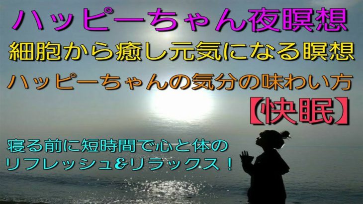 【HAPPYちゃん 夜瞑想】💞細胞から癒し元気になる瞑想💘《感動！》ハッピーちゃんの気分の味わい方💖寝る前に短時間で心と体のリフレッシュ&リラックス💫快眠🌈