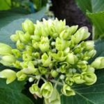 自然 治愈 放松 癒し ヒーリング リラックス 睡眠 Nature Relaxing healing 자연 힐링 치유