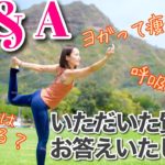 【ハワイでヨガ】質問にお答えします！Q＆A vol. 1！