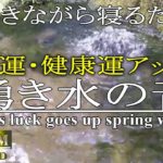 【睡眠】金運・健康運UP　癒しの湧き水の音で1/ｆゆらぎを感じながら眠る　不眠症改善・不安解消・疲労回復・安眠・自律神経を整える　α波リラックス・勉強・読書・瞑想・作業　自噴　spring water