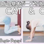 【ヨガの基本ポーズ解説Vol.1】キャット＆カウ〜がちがち背中を緩める | Megumi Yoga Tokyo #116