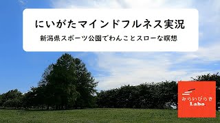 にいがたマインドフルネス実況－新潟県スポーツ公園