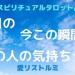 [スピリチュアルタロット占い]今日の今、この瞬間のあの人の気持ち✨✨✨今日はどんな気持ちで過ごしたの❔😌