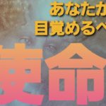 あなたが目覚めるべき使命‼️スピリチュアルな目覚め🌈#カードリーディング#オラクルタロット