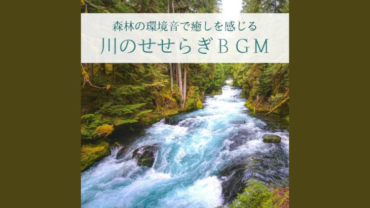 マインドフルネス