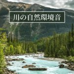 朝マインドフルネス