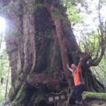 「スピリチュアルをビジネスに４０　風林火山の書から読む人生の流れ」都　章の未来を読む力育成術