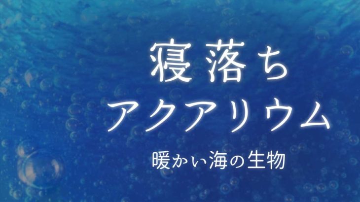 【睡眠導入／癒し】寝落ちアクアリウム『暖かい海の生物』