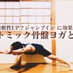 【アナトミック骨盤ヨガって？】ジャンプインにも効果？身体機能の底力を上げるヨガの秘密