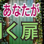 【スピリチュアル】今、あなたが開く扉🚪扉の向こうにはどんな世界が？😳オラクルカードリーディング✨スピリチュアルカードリーディング✨占い✨３択✨