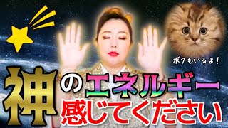 ※超強力‼︎※スピリチュアルキャットと神の化身から愛と癒しのパワーをチャージ！