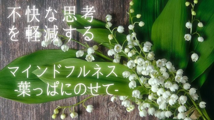 【不快な思考軽減】不快な思考を手放す、マインドフルネス瞑想、ストレス解消