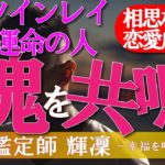【霊視鑑定師 輝凜】これぞ魂の共鳴！／運命の人・ツインレイと高次で魂を結びつける！／現状を打破し恋愛成就を望むあなたに奇跡のマインドフルネスＢＧＭ
