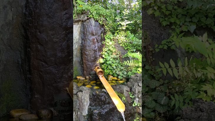 ゆるゆるスピリチュアル