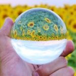 「スピリチュアルをビジネスに５５　失われたワクワクを探せ」都　章の未来を読む力育成術