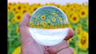 「スピリチュアルをビジネスに５５　失われたワクワクを探せ」都　章の未来を読む力育成術