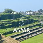 【マインドフルネス瞑想用音楽】鳥の声に集中する瞑想法