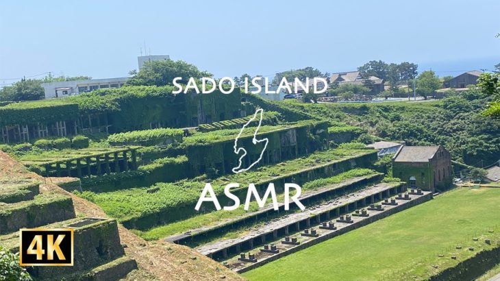 【マインドフルネス瞑想用音楽】鳥の声に集中する瞑想法