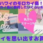 【ハワイを思い出してお買い物】マインドフルネスって難しい！雑念を無くして集中するためのお買い物をしてきた