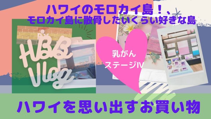 【ハワイを思い出してお買い物】マインドフルネスって難しい！雑念を無くして集中するためのお買い物をしてきた