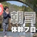 朝ヨガオンライン 体幹フロー