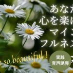 【心を楽にするマインドフルネス瞑想】あなたはあなたのままで美しい✨✨、深呼吸、リラックス、ストレス解消