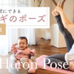 【簡単ヨガ】隙間時間にできるサギのポーズ