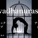 ドロップバックカムアップ/アシュタンガヨガ