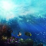 ストレス解消のためのリラックスできる音楽瞑想のための癒しの音楽、マッサージのための癒し、深い眠り、スパ