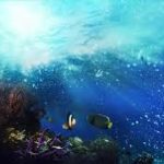 ストレス解消のためのリラックスできる音楽瞑想のための癒しの音楽、マッサージのための癒し、深い眠り、スパ