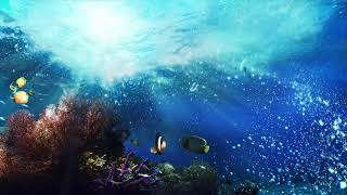 ストレス解消のためのリラックスできる音楽瞑想のための癒しの音楽、マッサージのための癒し、深い眠り、スパ