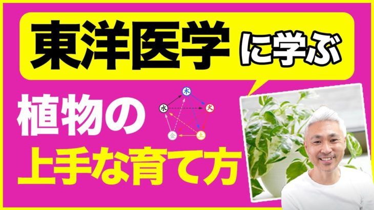 東洋医学に学ぶ植物の上手な育て方（マインドフルネス）
