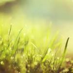 リラクゼーション瞑想音楽 スパセラピー 。 ヨガ、マッサージ、レイキ、研究のための心を落ち着かせるバックグラウンドミュージック