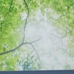 夏至ヒーリング瞑想　自分と地球ヒーリング