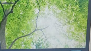 夏至ヒーリング瞑想　自分と地球ヒーリング