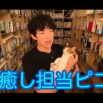 細木の輸出計画とスピリチュアルについて