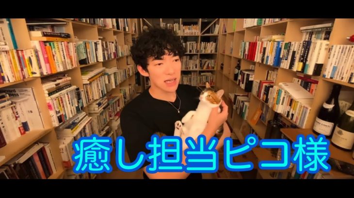 細木の輸出計画とスピリチュアルについて