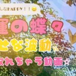 幸運の前兆✨サイン✨幸せの波動　スピリチュアル　実録！！