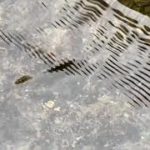 【アクアリラックス】020 水の癒し　睡眠　自然　涼しい　AQUARELAX