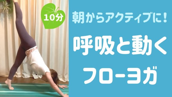 【朝ヨガ 10分】呼吸に合わせてしっかり動く！体を感じるマインドフルネスフローヨガ