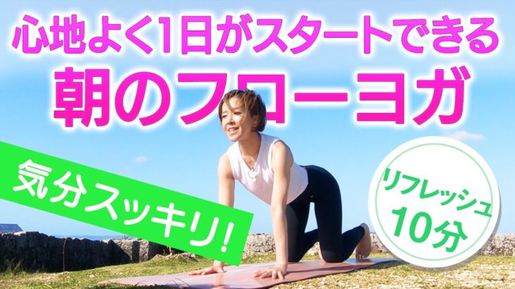 【朝ヨガ10分】心地よく1日がスタートできる朝のフローヨガ　CuteBirds_Yoga＃13