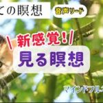 【13分】見る瞑想|はじめての瞑想|マインドフルネス瞑想塾7/21