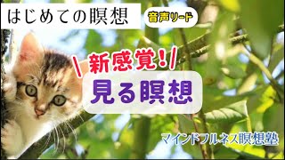 【13分】見る瞑想|はじめての瞑想|マインドフルネス瞑想塾7/21