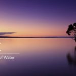 癒しの水の音・せせらぎ音・ 睡眠・集中力を促進するリラックスα波自然音 1時間/Beautiful Water Sounds for Relaxing,Sleeping & Studying