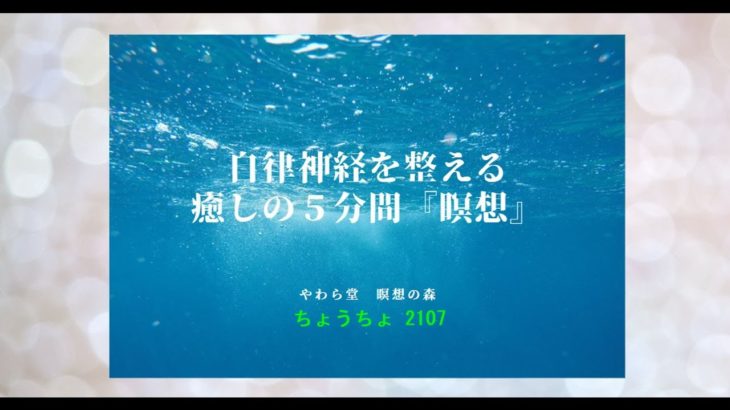 自律神経を整える　癒しの５分間『瞑想』【ちょうちょ2107】