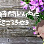 当たる❓霊感スピリチュアル🌈⭐24時間以内に起こる奇跡💖🐹