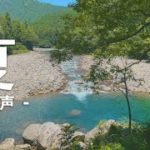 【夏】5分間のマインドフルネス瞑想 – 蝉の声【癒やし】